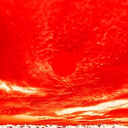 Cover of Rojo
