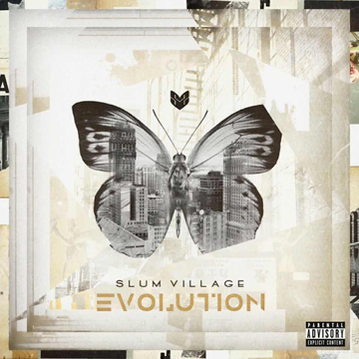 Album cover of Summer Breeze