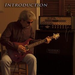 Cover of Introduction