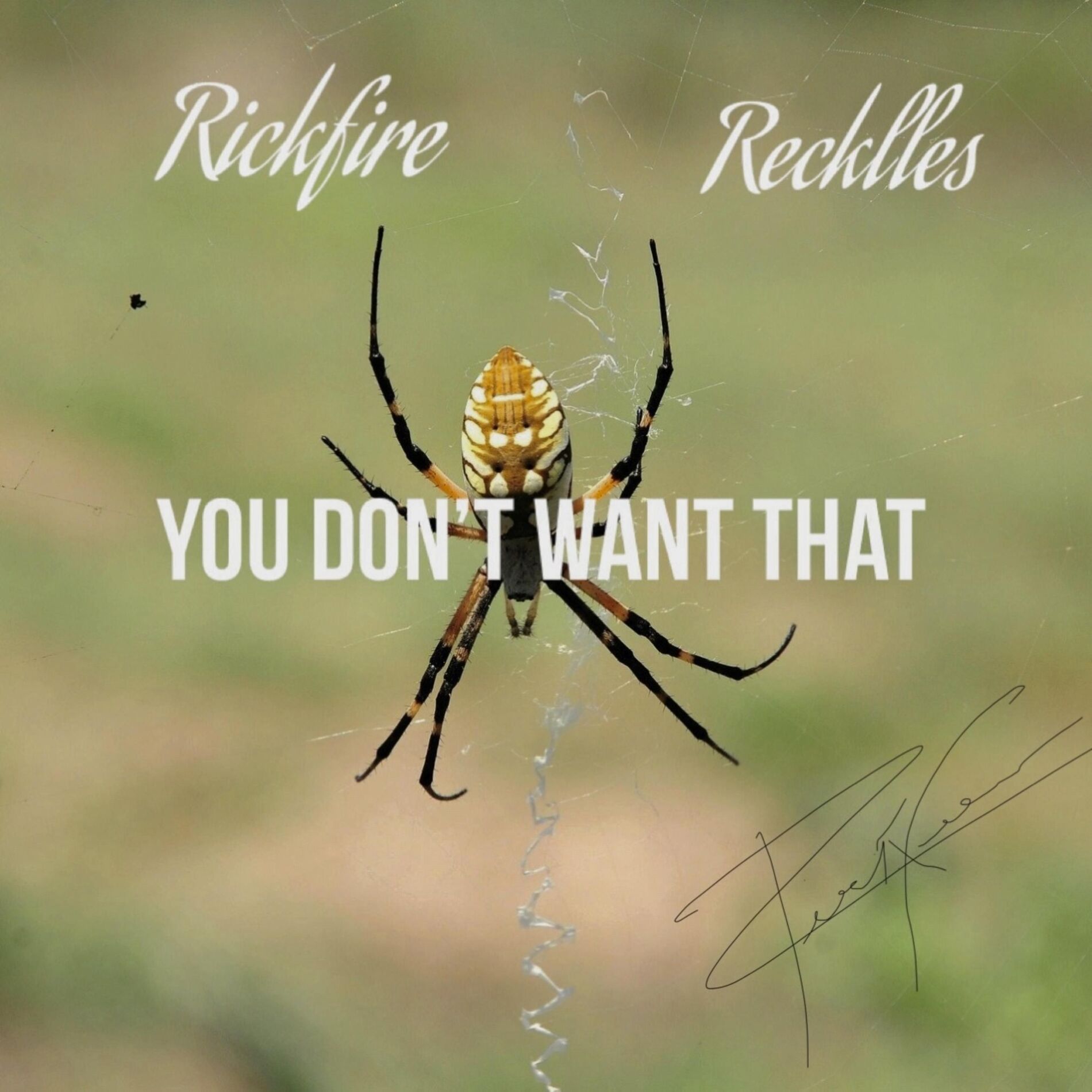 Album cover of You don’t Want That