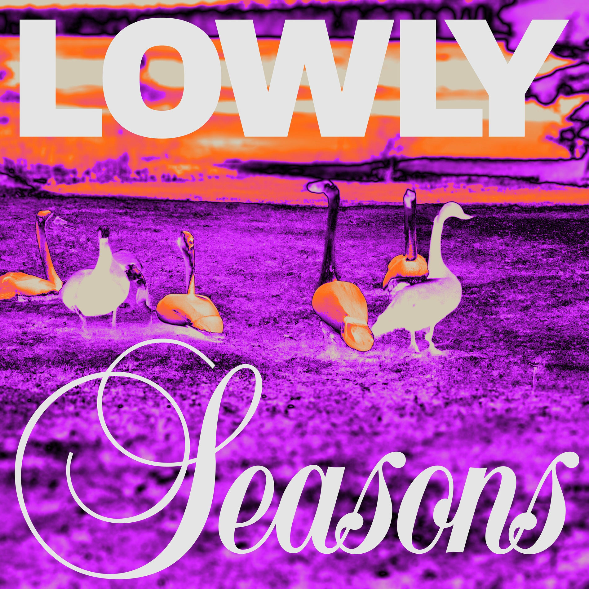 Album cover of Seasons