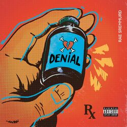 Cover of Denial