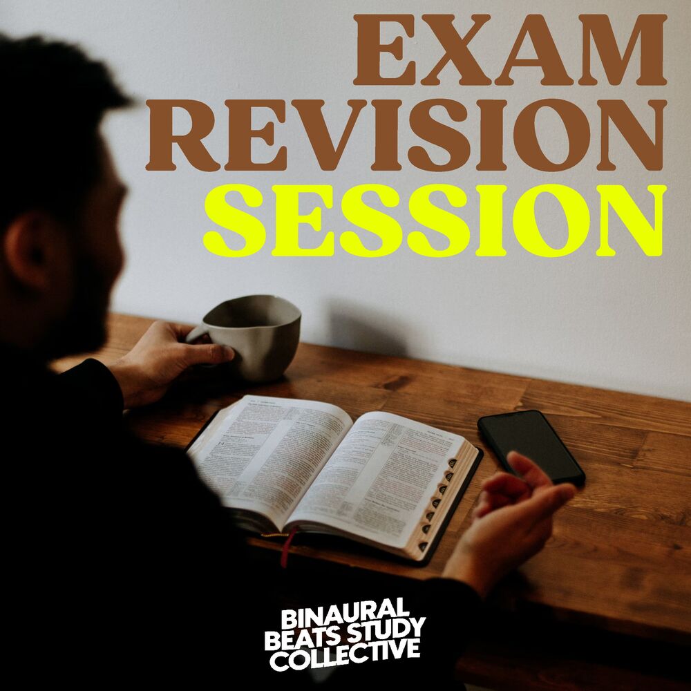 Picture of Exam Revision Session