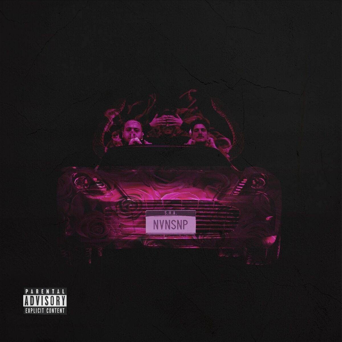Album cover of NVNSNP