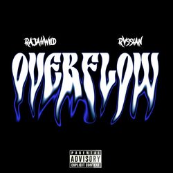 Cover of Overflow