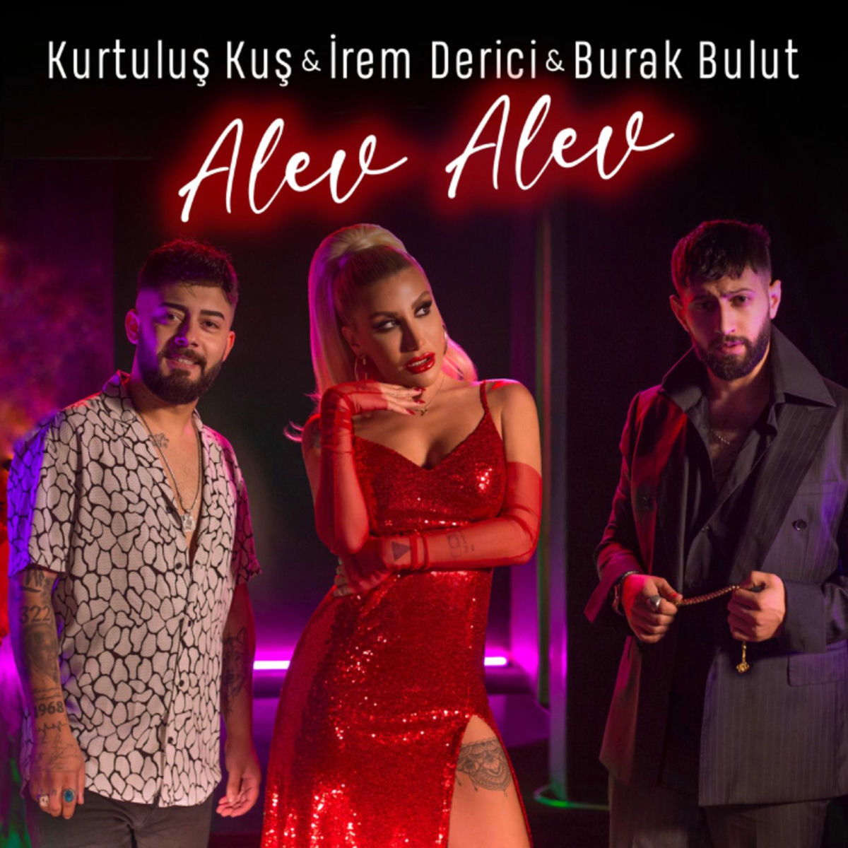 Album cover of Alev Alev