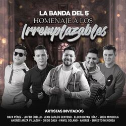 Cover of Homenaje a los Irremplazables