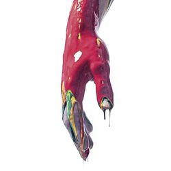 Cover of Raptus