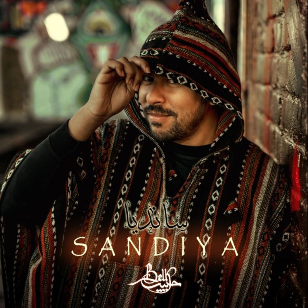Album cover of سانديا