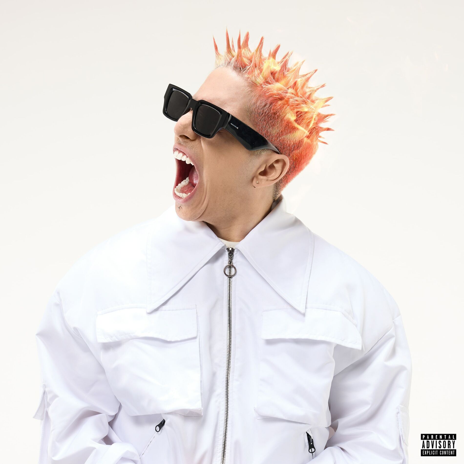 Album cover of ALATURKA