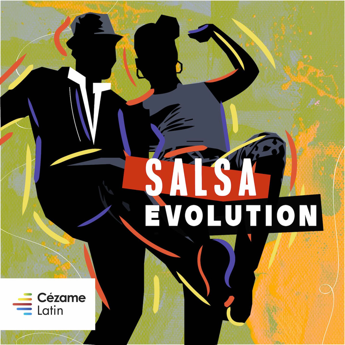 Album cover of Salsa Evolution