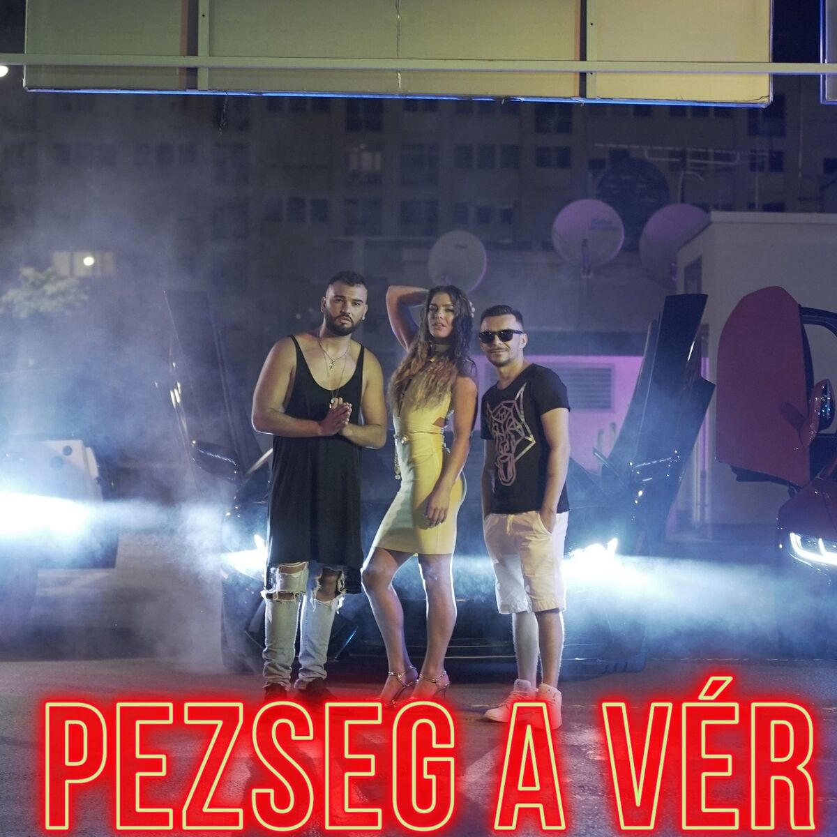 Album cover of Pezseg a vér