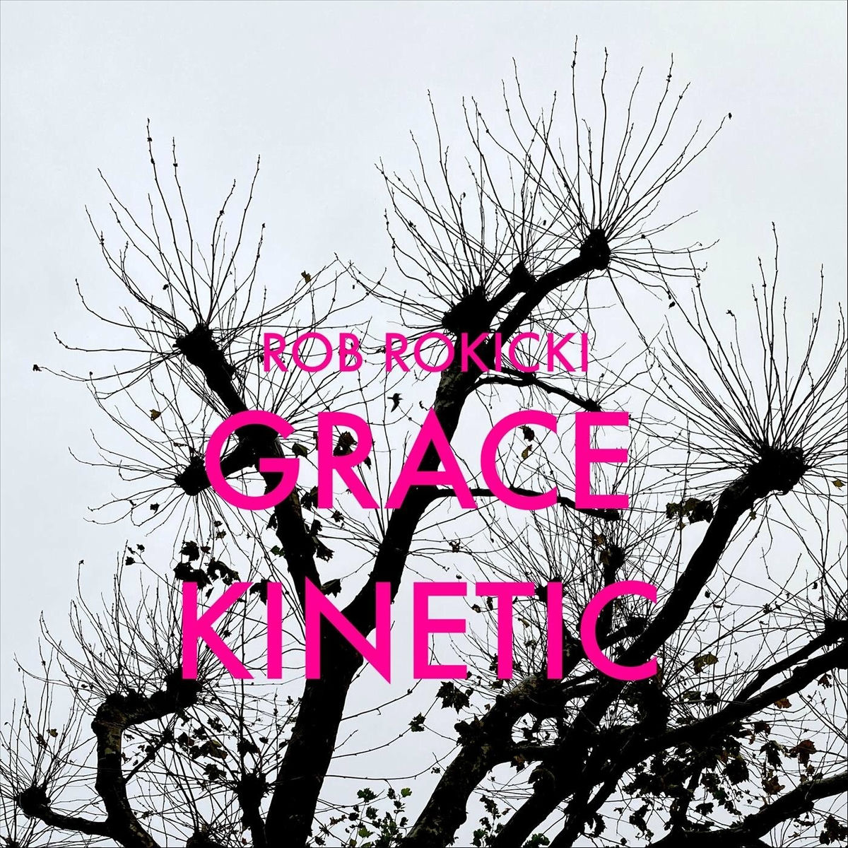 Album cover of Grace Kinetic