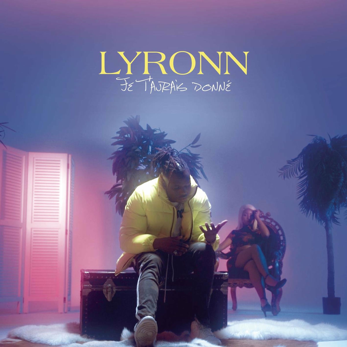 Album cover of Je t'aurais donné