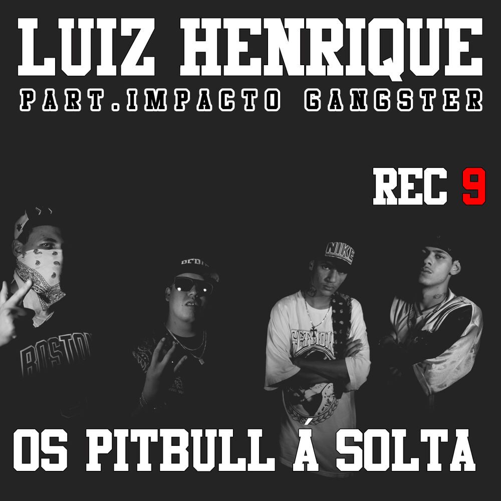Picture of Os Pitbull Á Solta