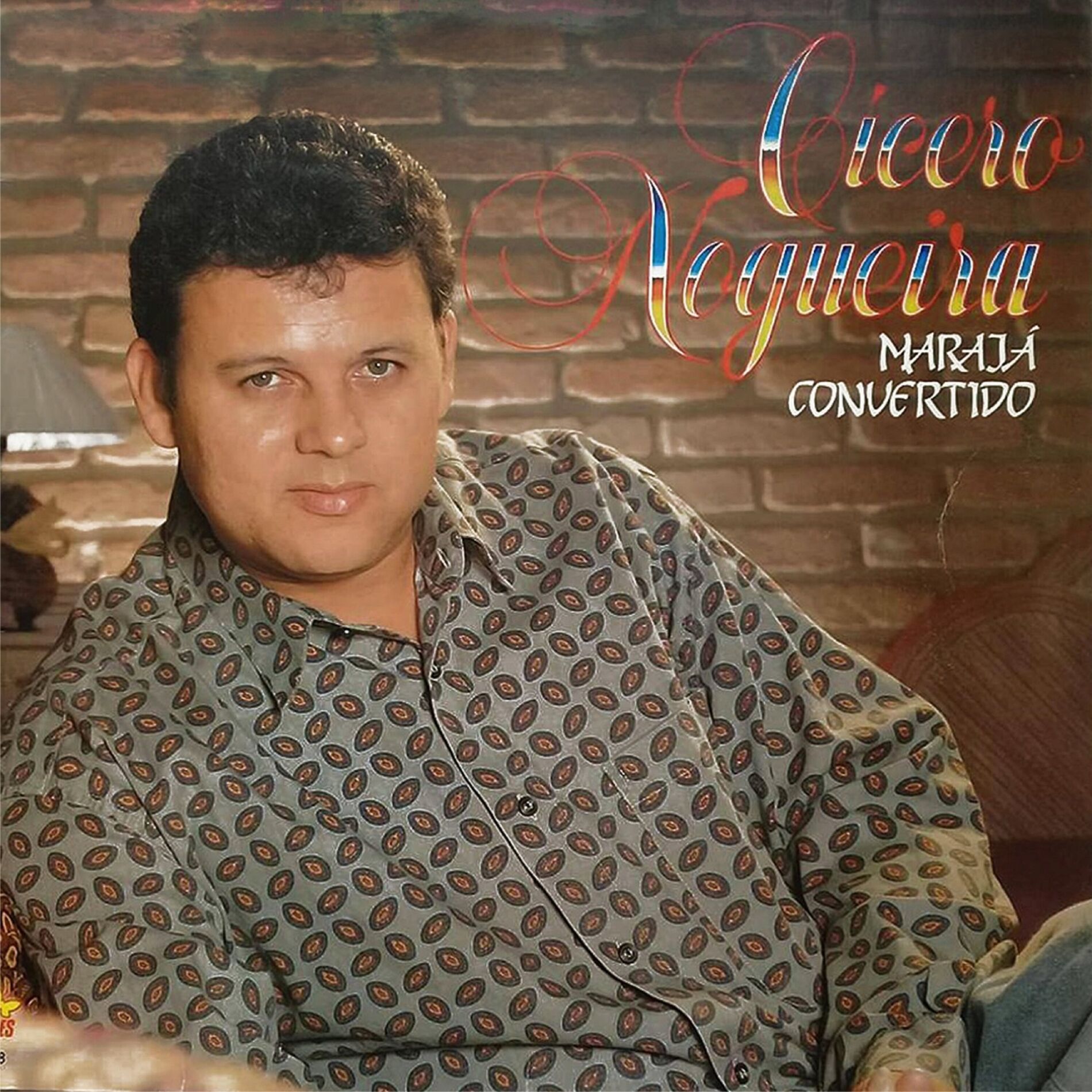 Album cover of Marajá Convertido