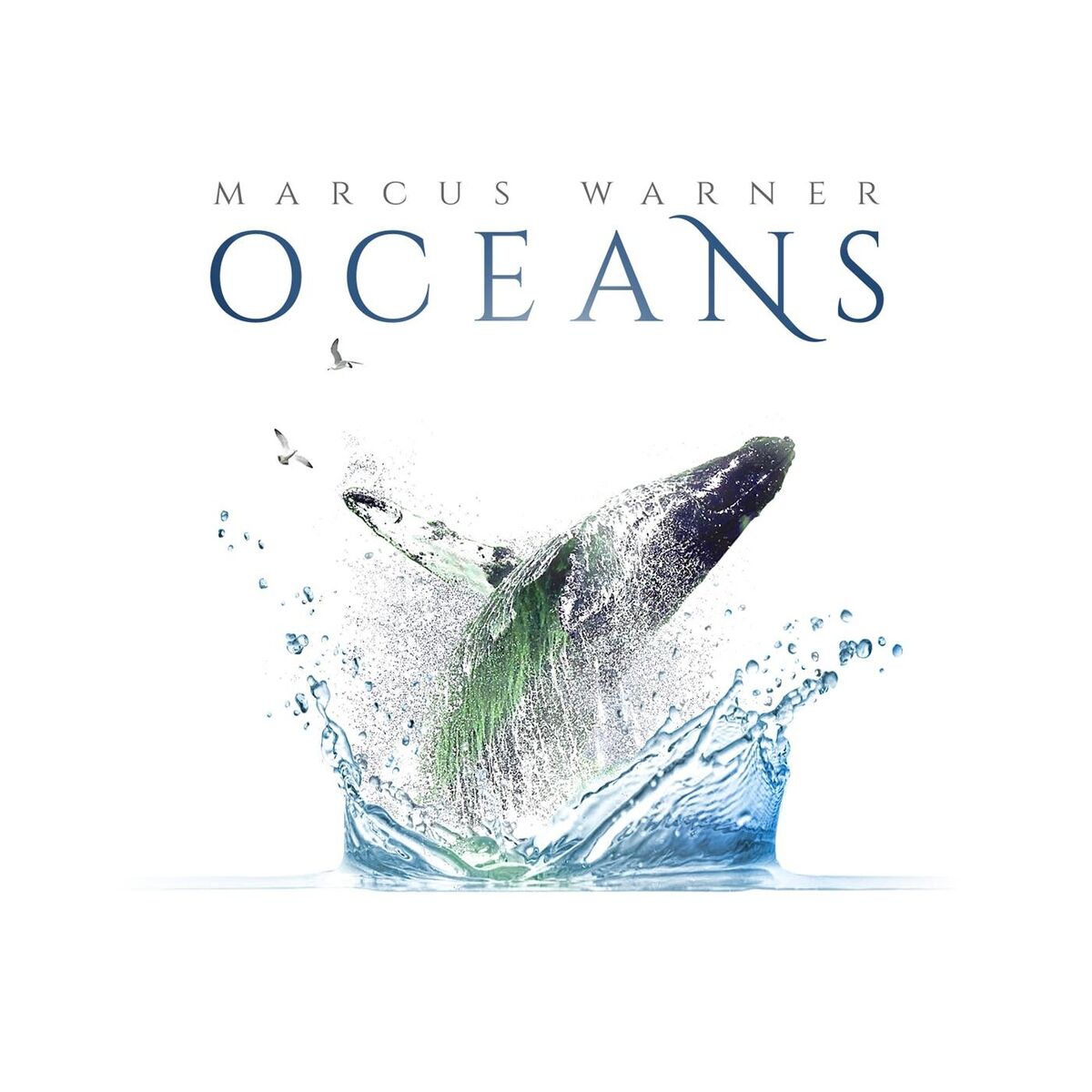 Album cover of Oceans