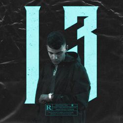 Cover of 13