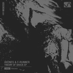 Cover of Theory of Shock EP