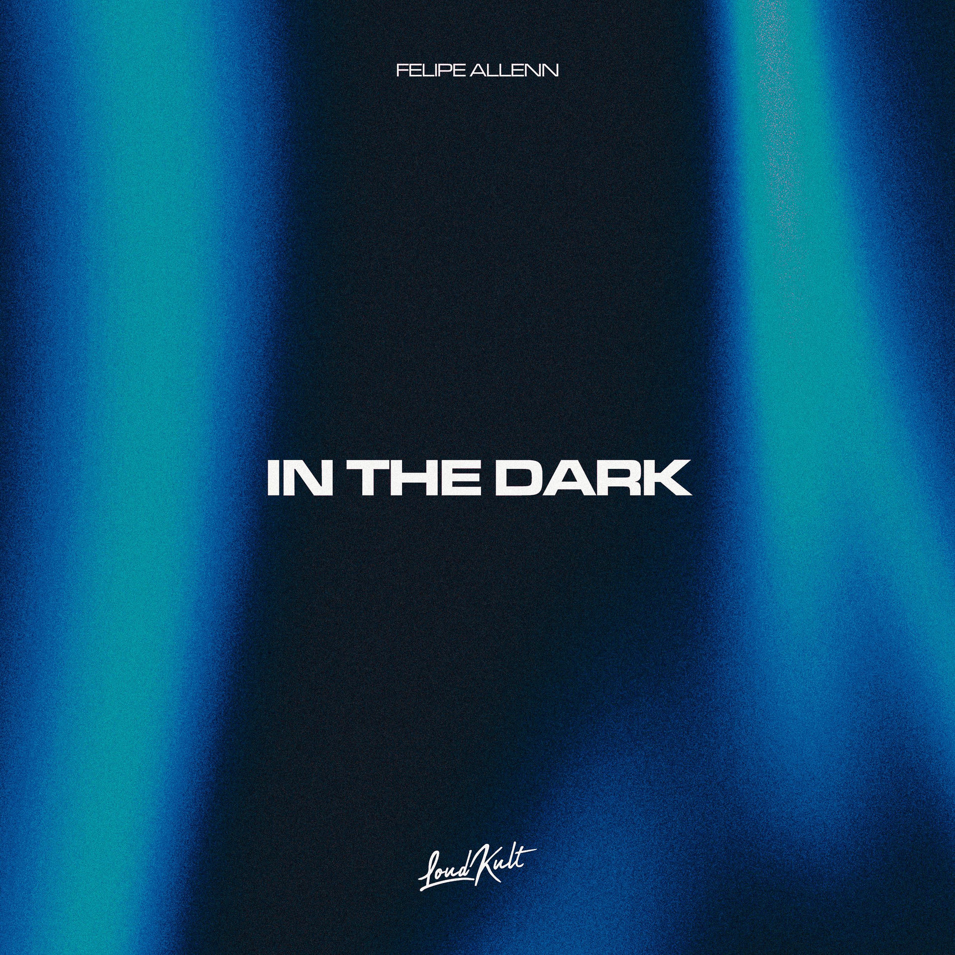 Album cover of In The Dark