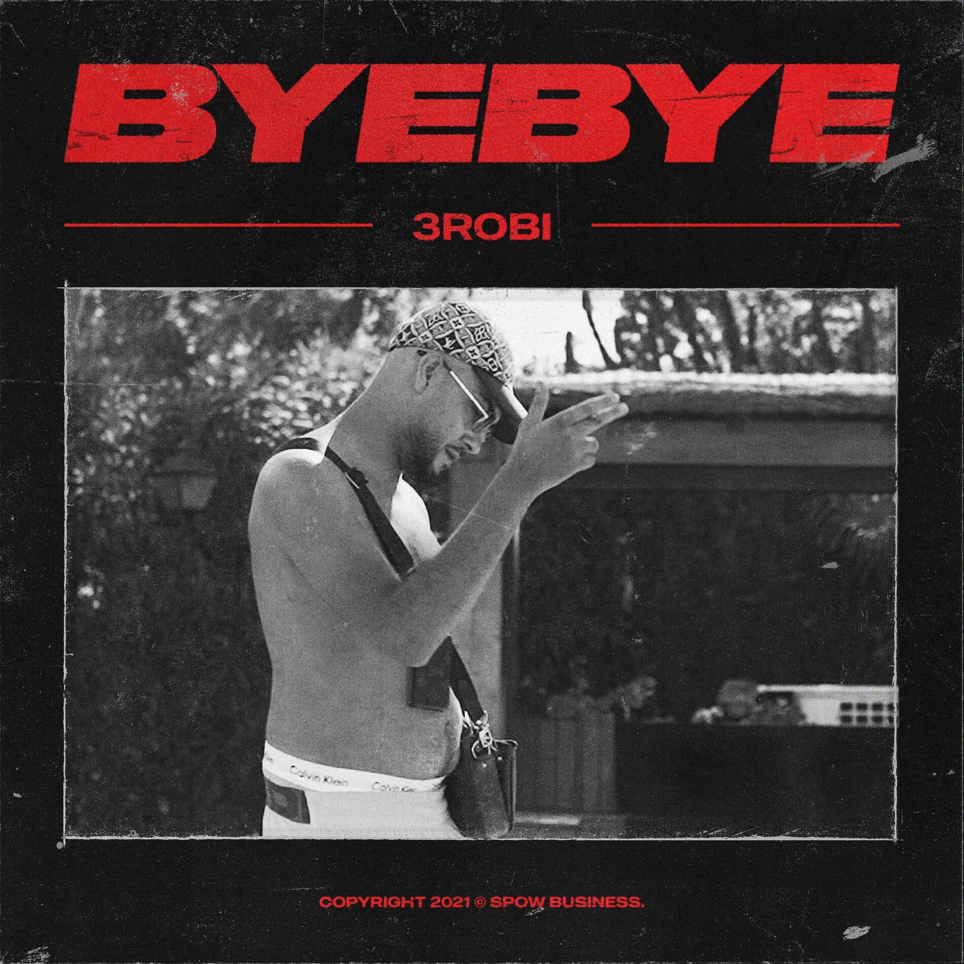 Album cover of Bye Bye