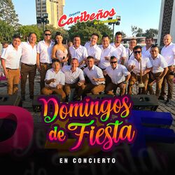 Cover of Domingos de Fiesta en Concierto (En Vivo)