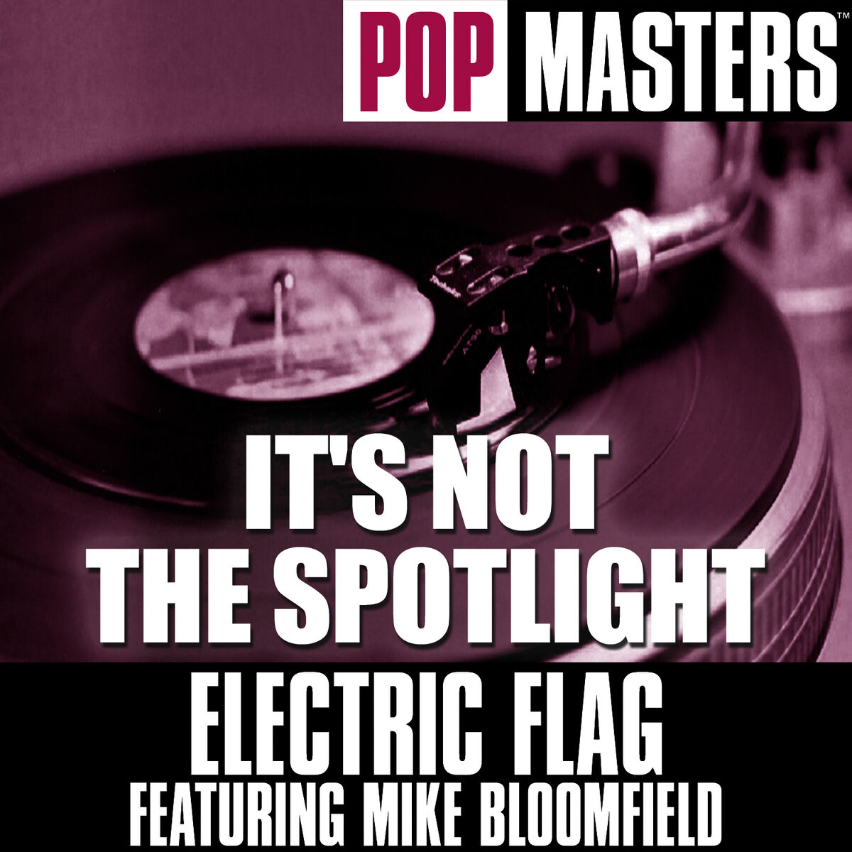 Album cover of It's Not The Spotlight