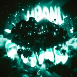 Cover of DESABANDO FUNK