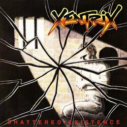 Cover of Shattered Existence