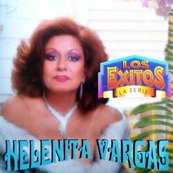 Cover of Los Exitos la Serie