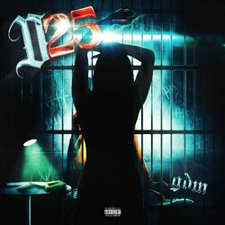 Cover of D25