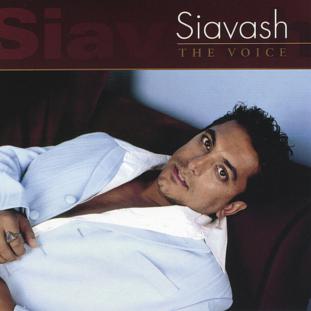 Picture of The Voice