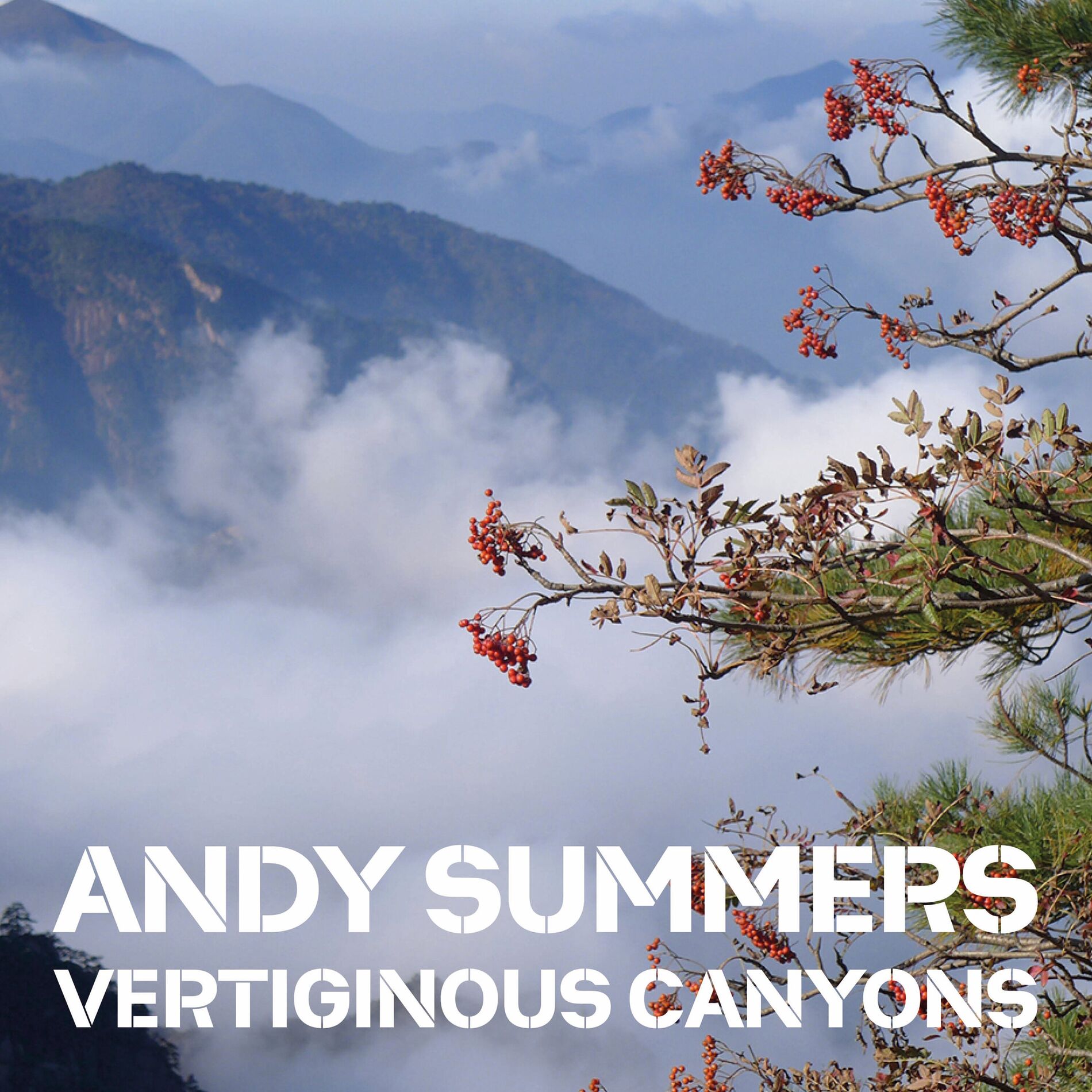 Album cover of Vertiginous Canyons