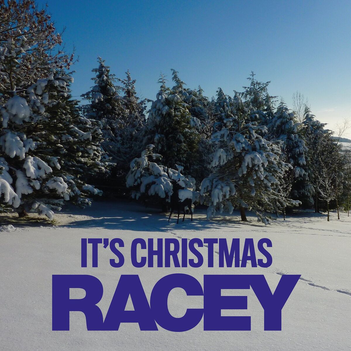Album cover of It's Christmas