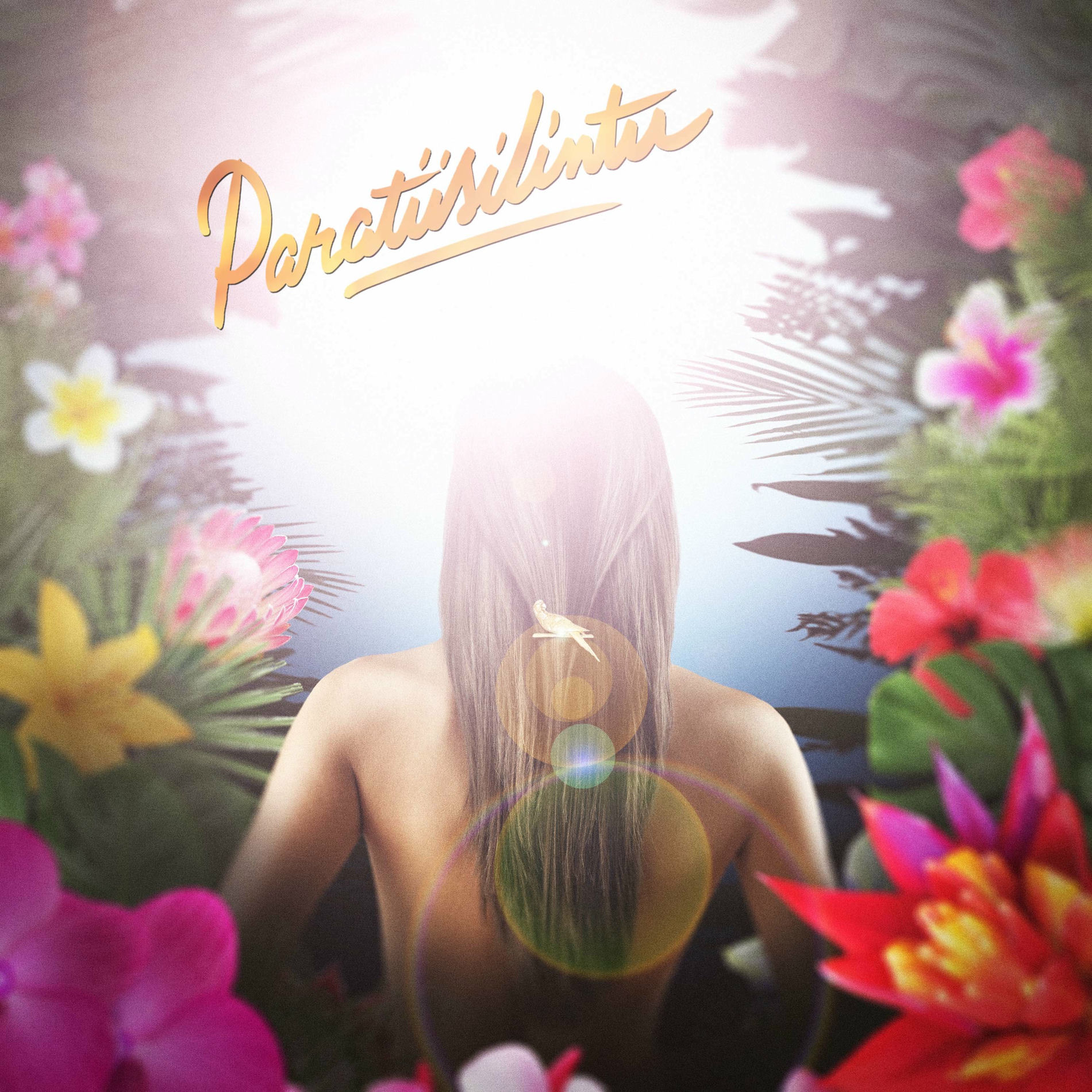 Album cover of Paratiisilintu