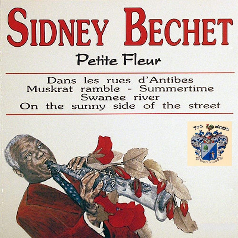 Pochette du titre Temperamental
