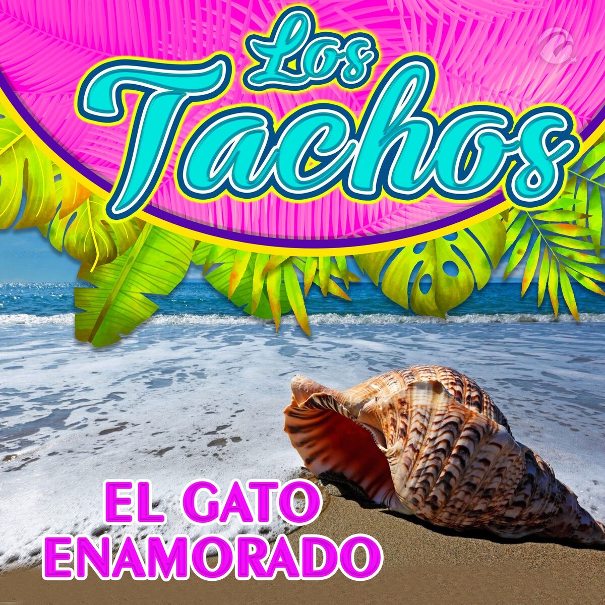Album cover of El Gato Enamorado