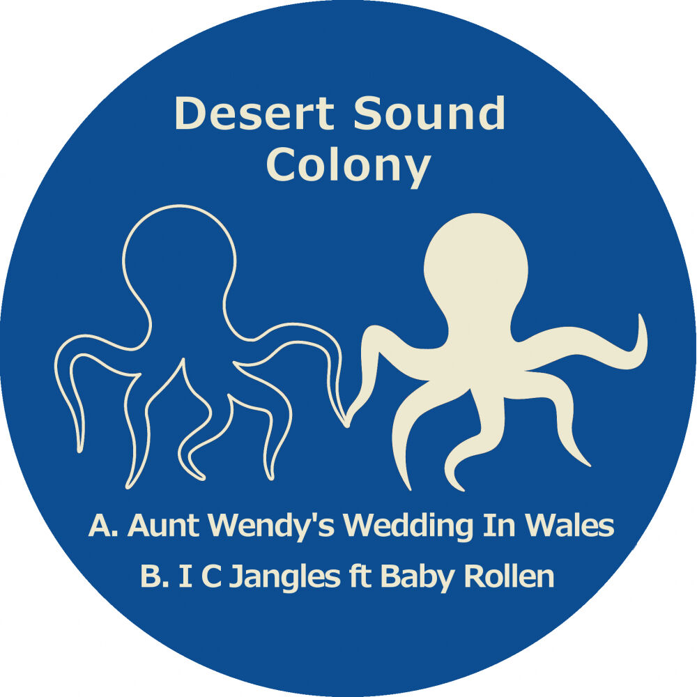 Picture of Aunt Wendy's Wedding In Wales / I C Jangles