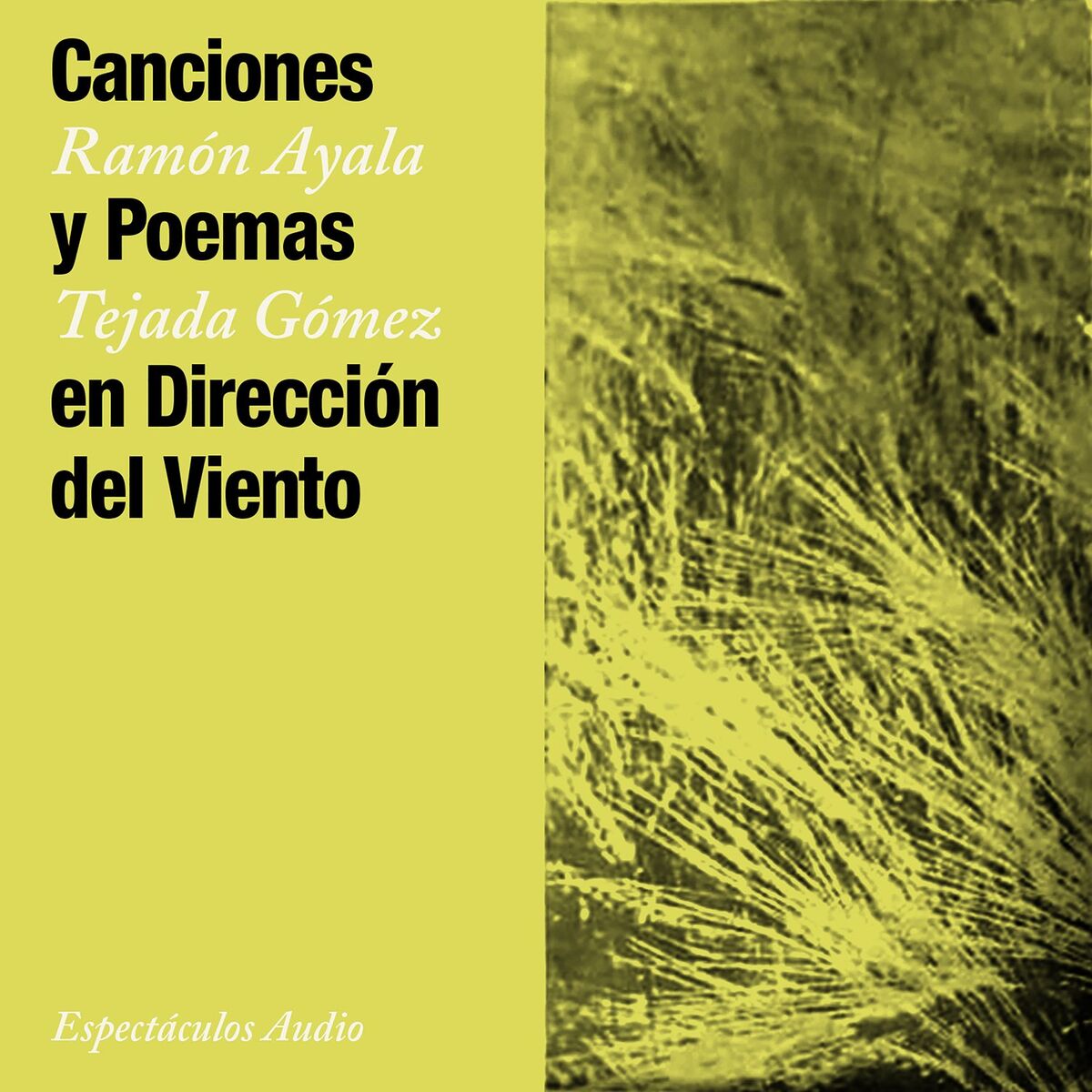 Album cover of Canciones y Poemas en Dirección del Viento (1965 - Remasterizado)