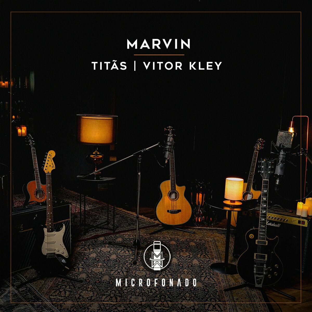 Album cover of Marvin