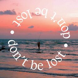 Cover of don't be lost