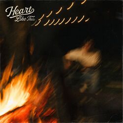 Cover of Heart Like This