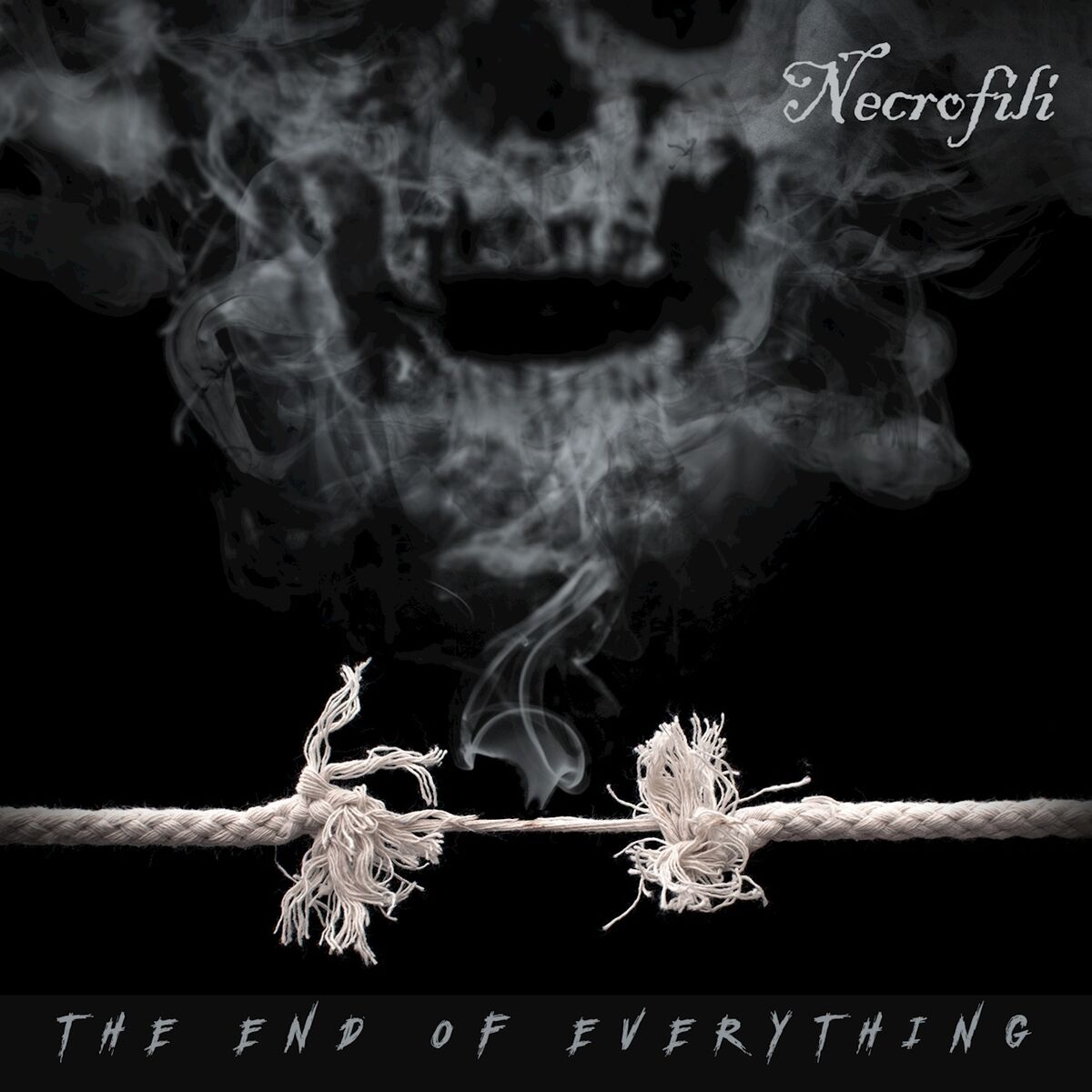 Album picture of The End Of Everything