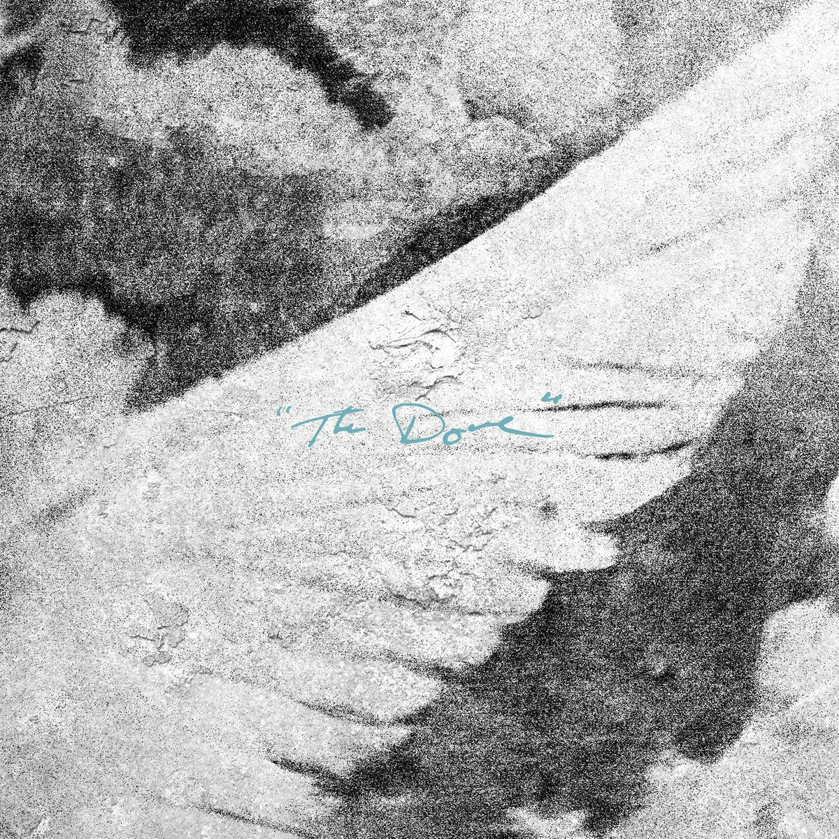 Album cover of The Dove (Live)