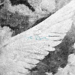 Cover of The Dove (Live)