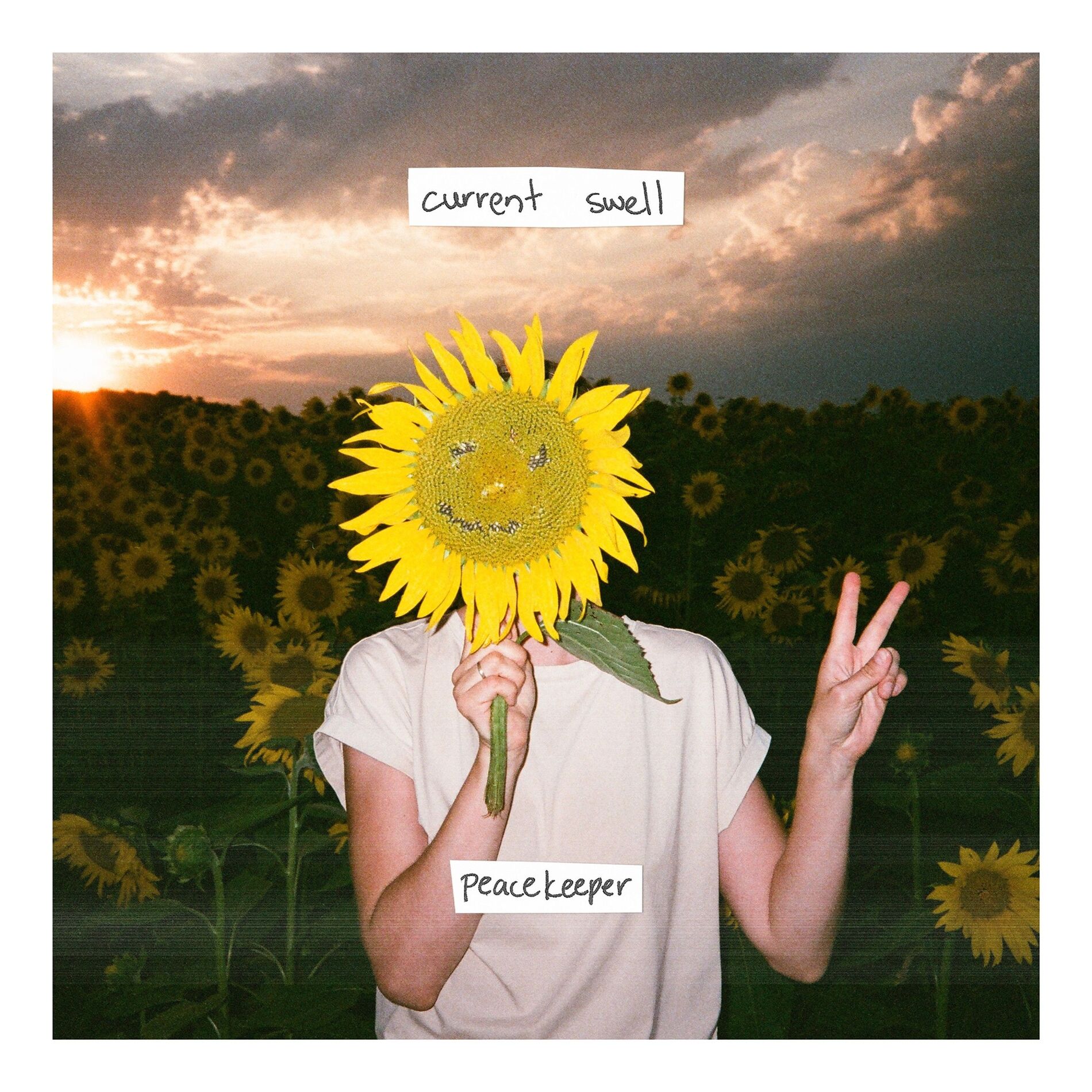 Album cover of Peacekeeper