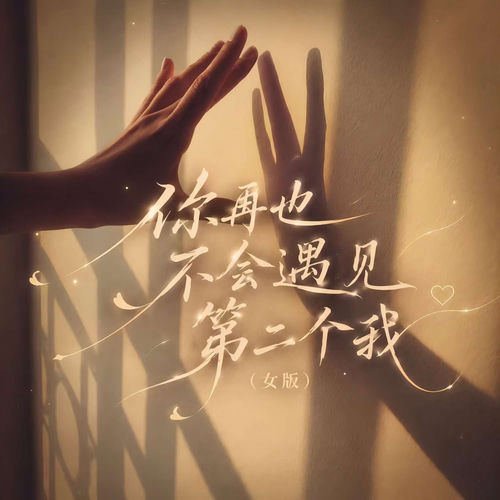你再也不会遇见第二个我（女版）