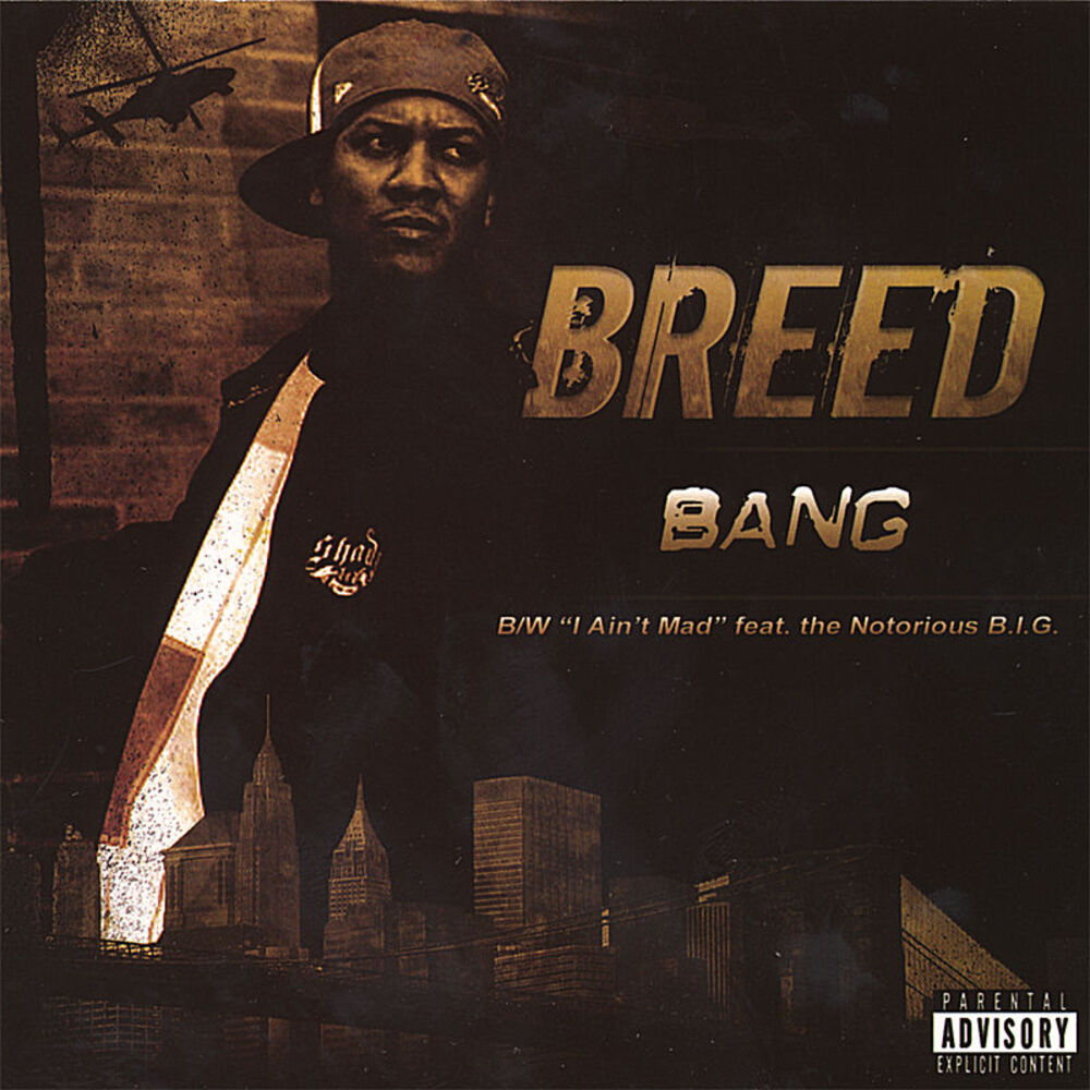 Picture of BANG