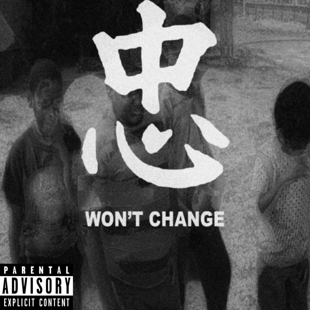 Picture of Won't Change (feat. YngpLo)