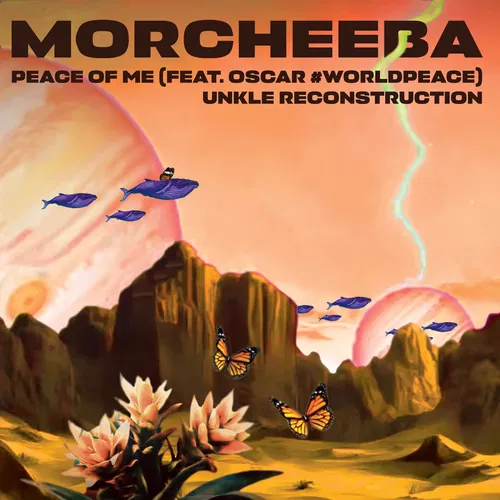 Peace Of Me (UNKLE Reconstruction) — cover art
